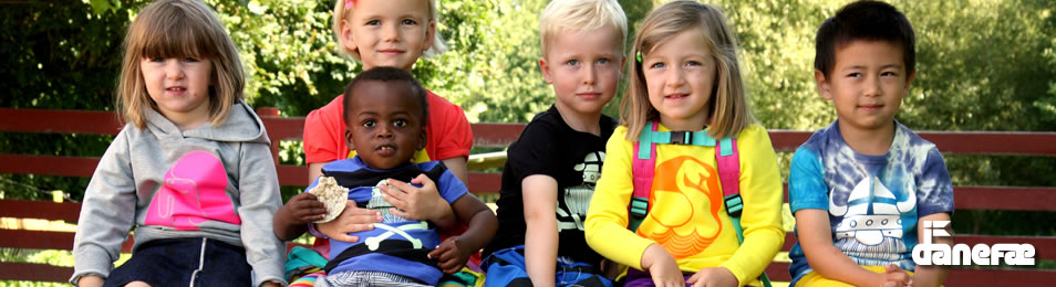 danefae-2013-summer-1.jpg