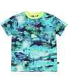 Molo super coole zomer t-shirt met haaienprint voor juniors