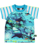 Molo Great Summer T-shirt with Hungry Sharks