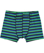 Name It gorgeous green-blue striped boxer shorts for juniors